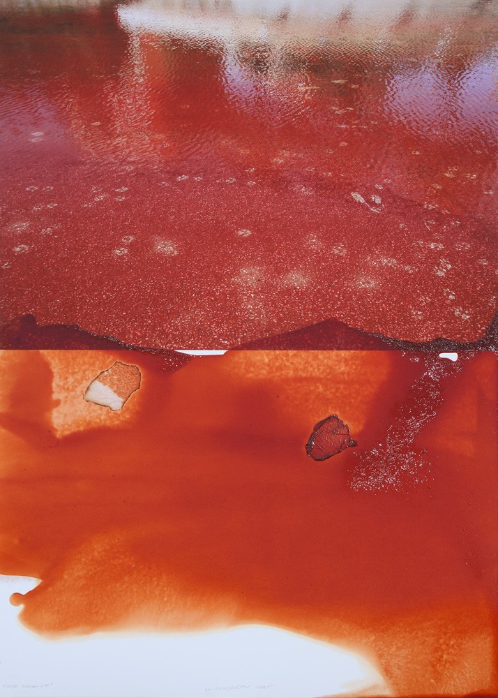 Red Doxa 07. 2015