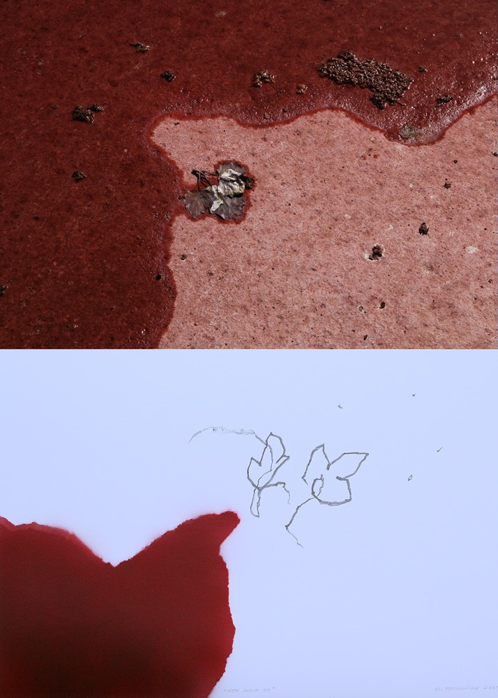 Red Doxa 09. 2015