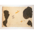 Traces of Memory 20
