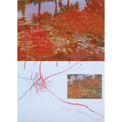 Red Doxa 11. 2015