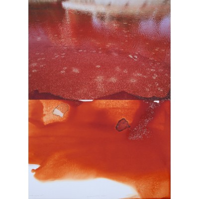 Red Doxa 07. 2015
